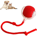Smart Rechargeable Automatic Rolling Pet Ball
