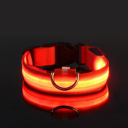 LED Night Safety Dog Leash – Glow in the Dark & Reflective
