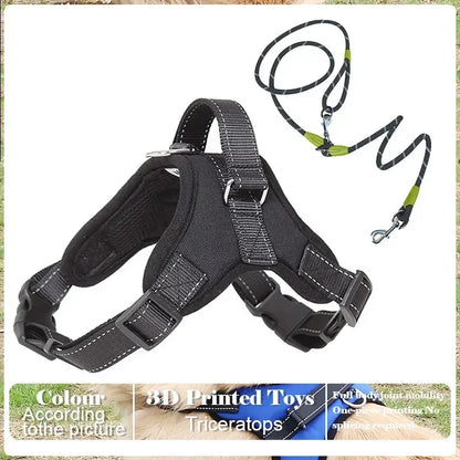 No-Pull Adjustable Dog Harness with Leash Set