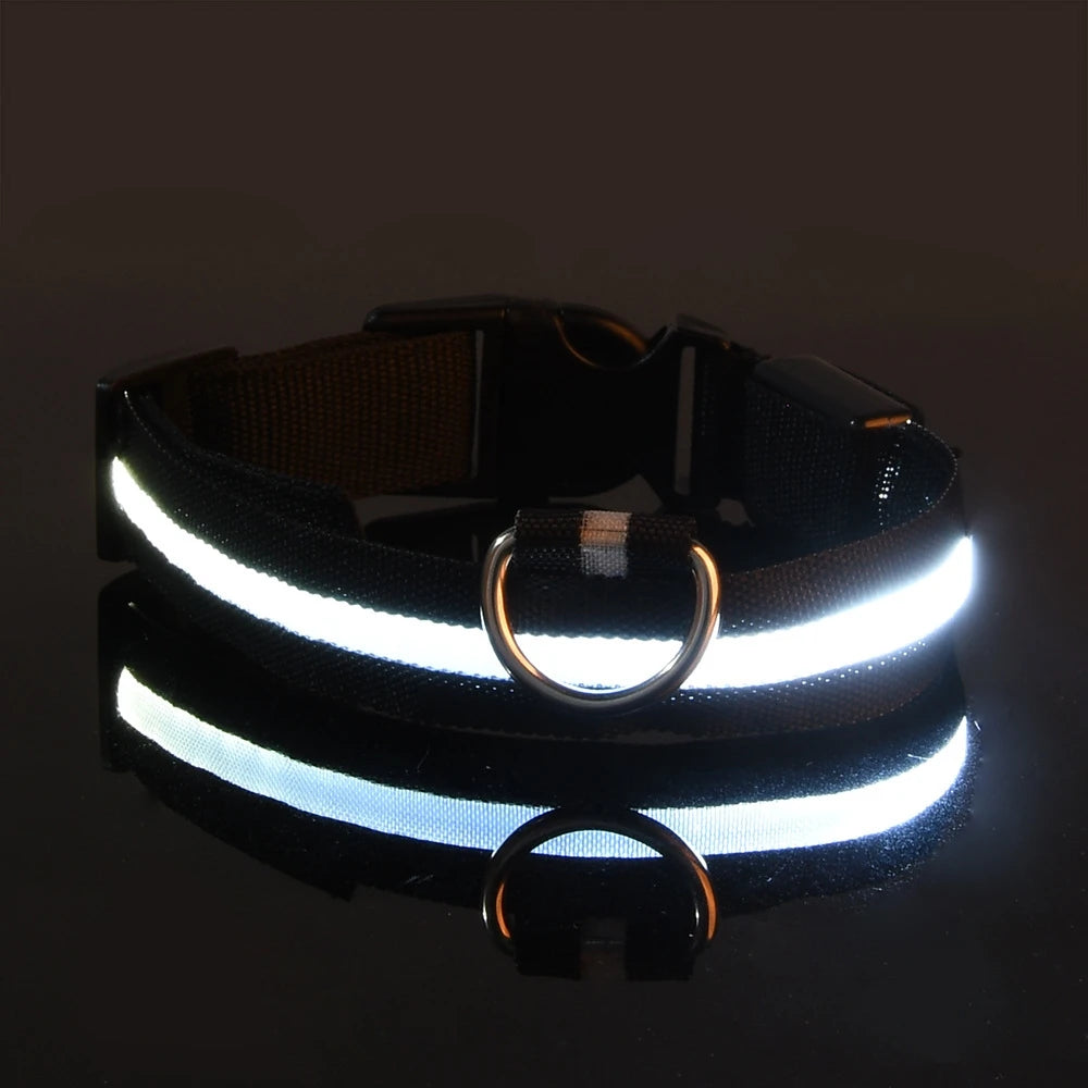 LED Night Safety Dog Leash – Glow in the Dark & Reflective