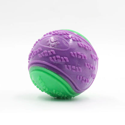 Interactive Squeaky Dog Ball – Durable Fun for All Breeds