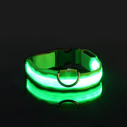 LED Night Safety Dog Leash – Glow in the Dark & Reflective