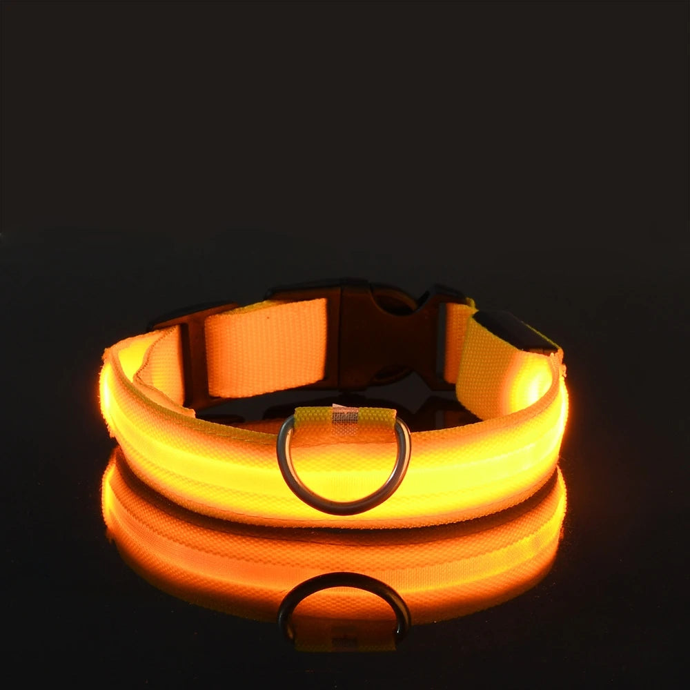 LED Night Safety Dog Leash – Glow in the Dark & Reflective