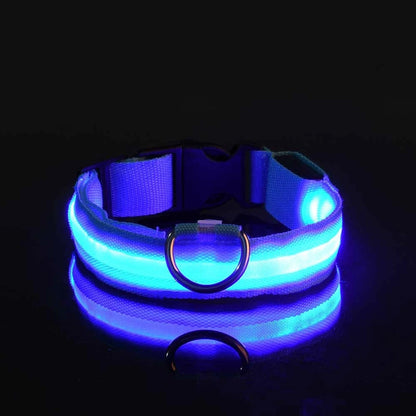 LED Night Safety Dog Leash – Glow in the Dark & Reflective