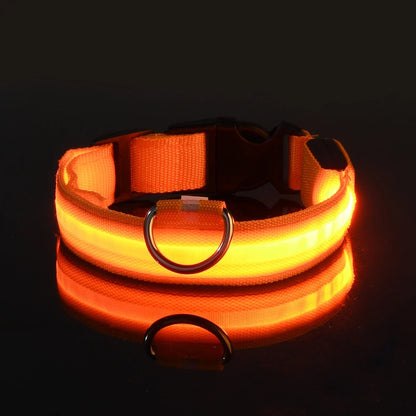 LED Night Safety Dog Leash – Glow in the Dark & Reflective