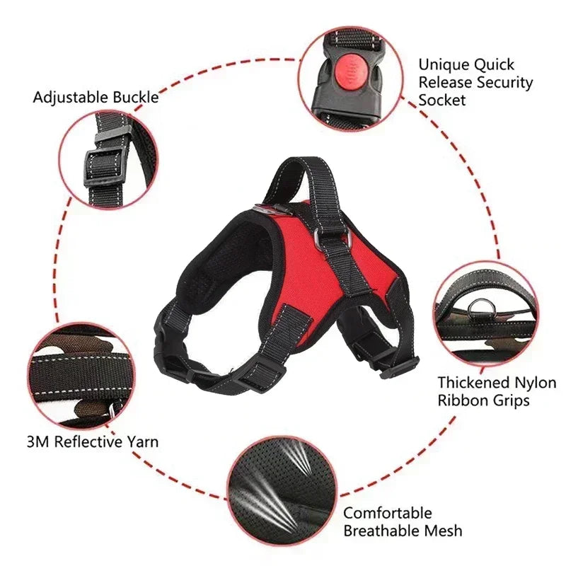 No-Pull Adjustable Dog Harness with Leash Set
