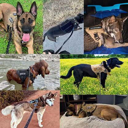 Comfort Control Dog Harness & Leash Set – No-Pull, Adjustable