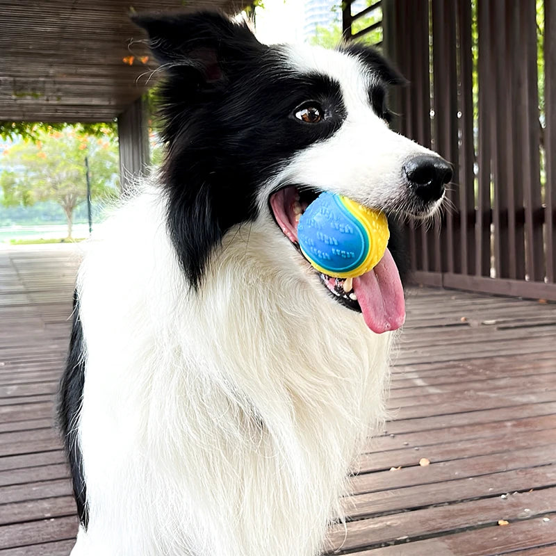 Interactive Squeaky Dog Ball – Durable Fun for All Breeds