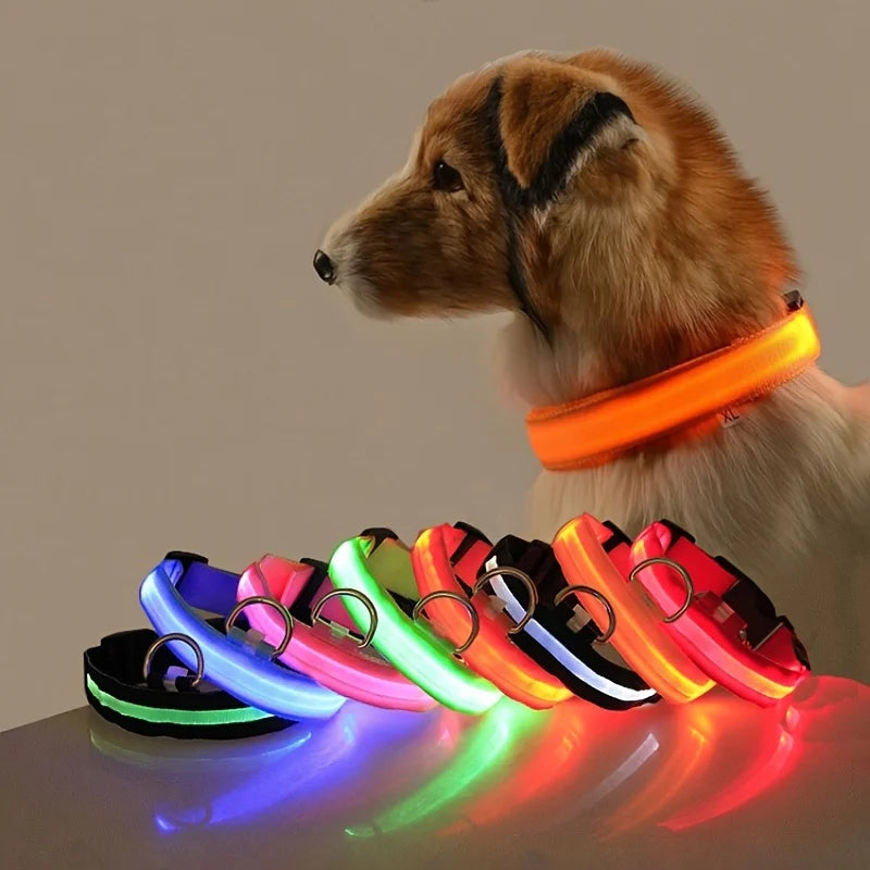 LED Night Safety Dog Leash – Glow in the Dark & Reflective