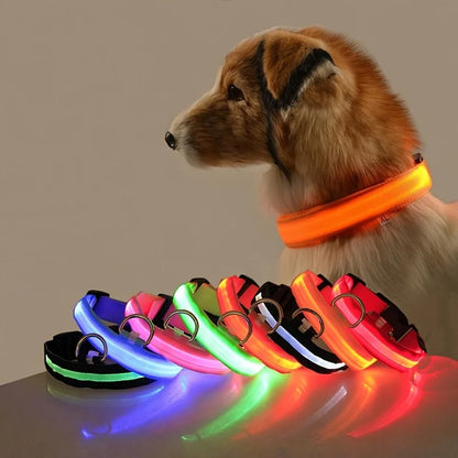 LED Night Safety Dog Leash – Glow in the Dark & Reflective