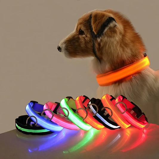 LED Night Safety Dog Leash – Glow in the Dark & Reflective