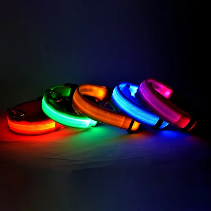 LED Night Safety Dog Leash – Glow in the Dark & Reflective