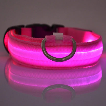 LED Night Safety Dog Leash – Glow in the Dark & Reflective