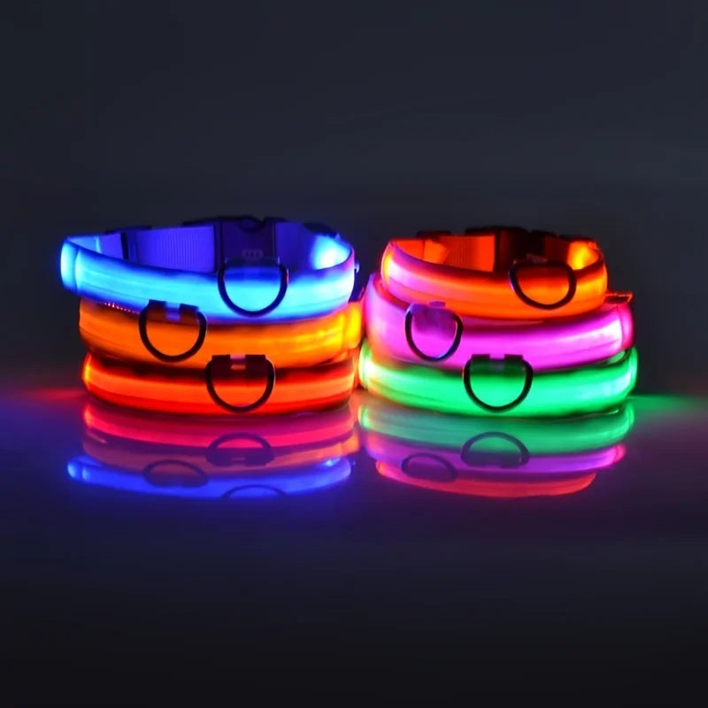 LED Night Safety Dog Leash – Glow in the Dark & Reflective