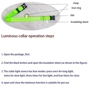 LED Night Safety Dog Leash – Glow in the Dark & Reflective