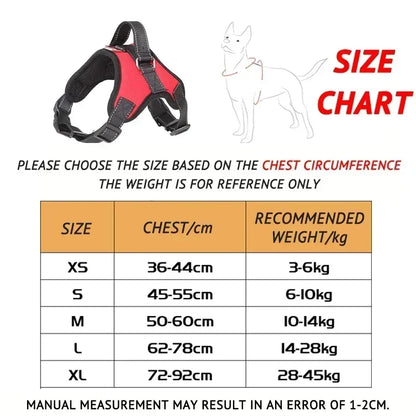 No-Pull Adjustable Dog Harness with Leash Set