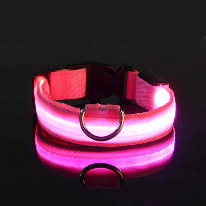 LED Night Safety Dog Leash – Glow in the Dark & Reflective