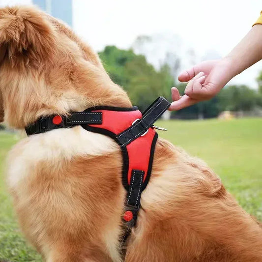 No-Pull Adjustable Dog Harness with Leash Set