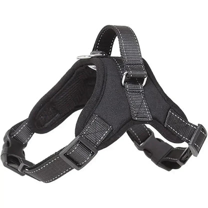 No-Pull Adjustable Dog Harness with Leash Set