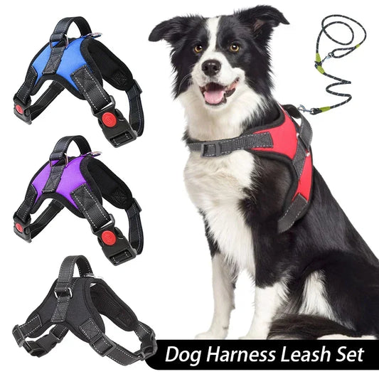 No-Pull Adjustable Dog Harness with Leash Set