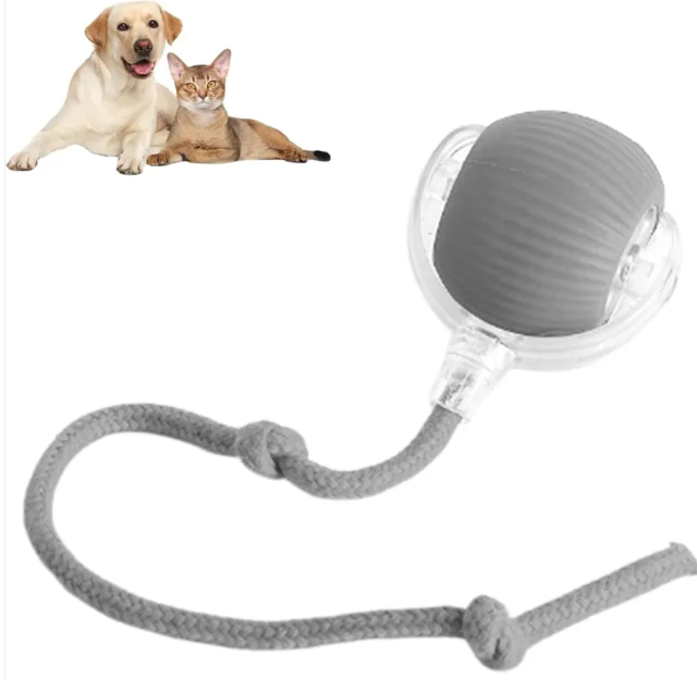 Smart Rechargeable Automatic Rolling Pet Ball